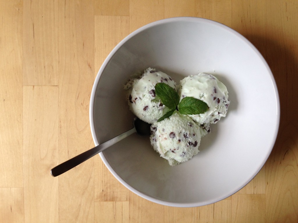 mint chocolate chip ice cream