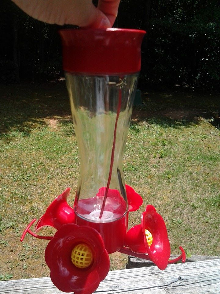 hummingbird feeder