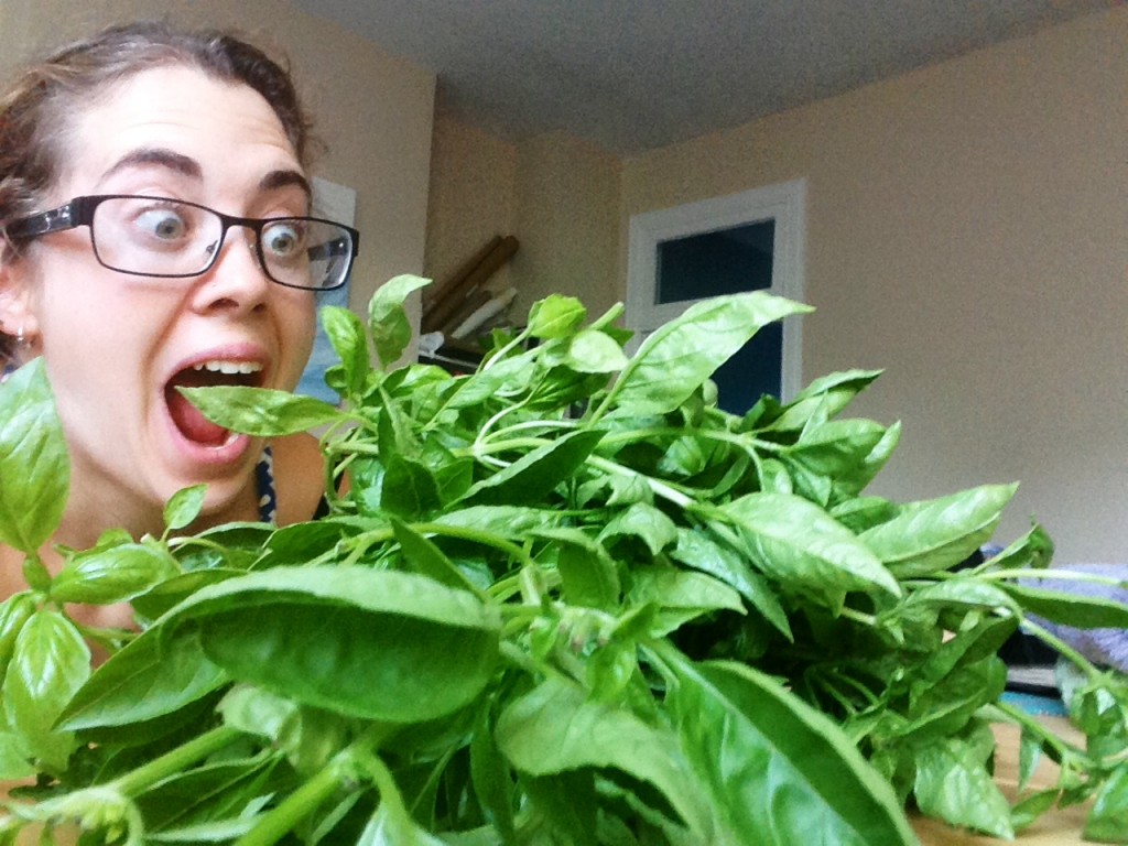 Serena harvests basil from the window garden.