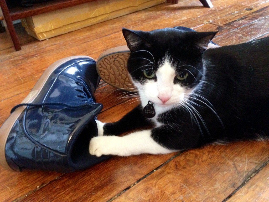 Philip visits; Loki takes possession of his shoes.