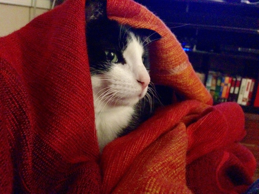 Our little babushka.