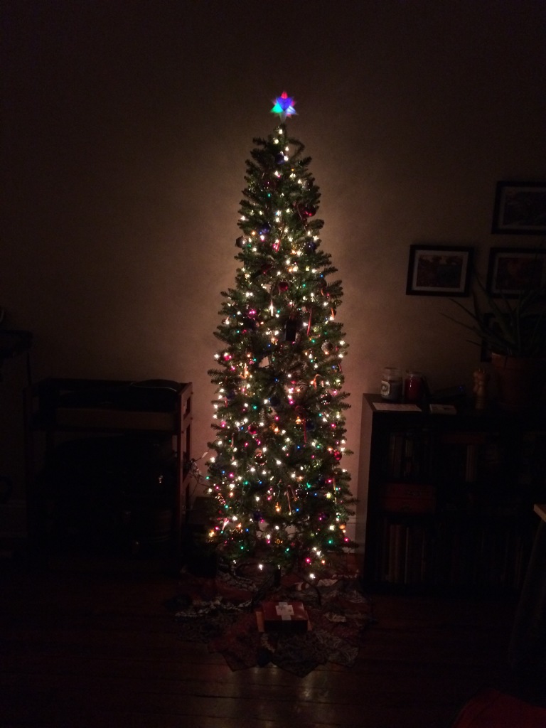 Erin and Serena decorate their first ever Christmas tree in America.