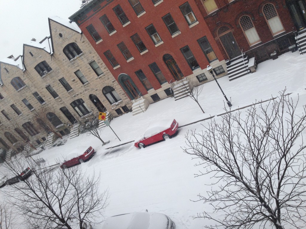 We wake up to a neighborhood covered in snow.