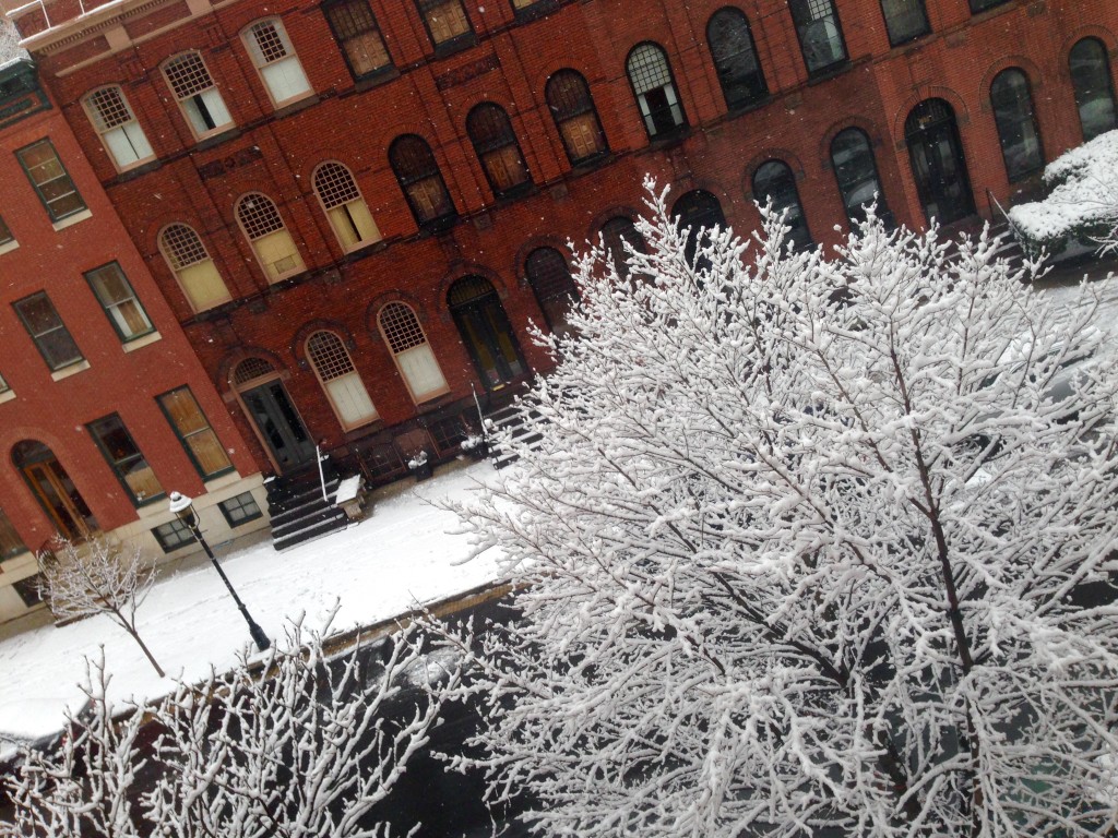 Snow covers our neighborhood.