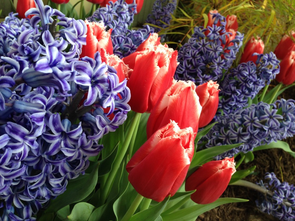 Serena and her mum visit the conservatory, where it is already spring.