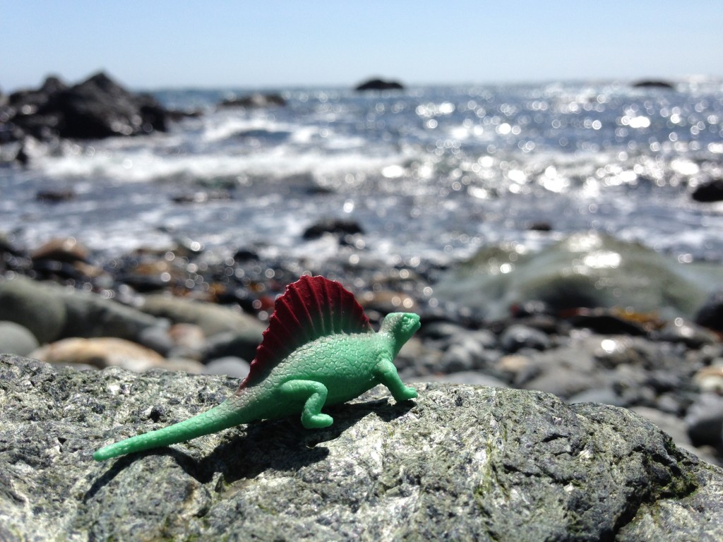 Our tiniest companion gazes across the choppy ocean at Jade Cove.