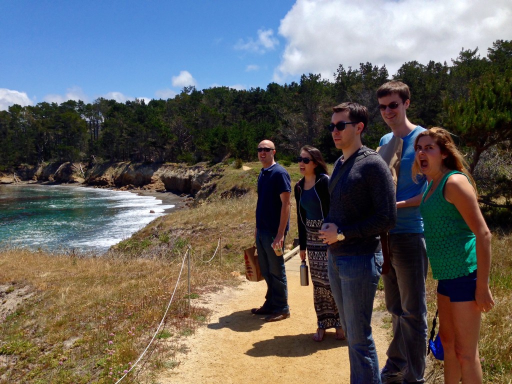 We join our friends at Point Lobos for a picnic.