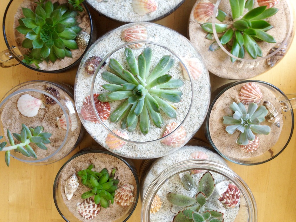 Serena, Erin, and Stacy make terrariums for the Baltimore reception.